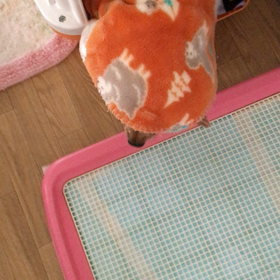 起きたよの画像