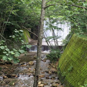湯治とお土産♪の画像