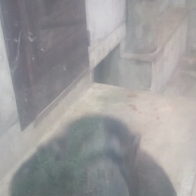 思い出その1ワ～イルドラ～イフ∟(￣(工)￣)ノ！の画像