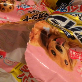 奪い合いですの画像