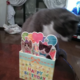 バースデーカードにキョトンの画像