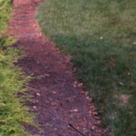 キラキラの画像