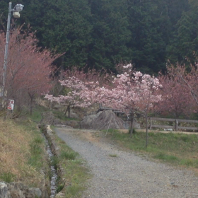 へこたれたりはしないの画像