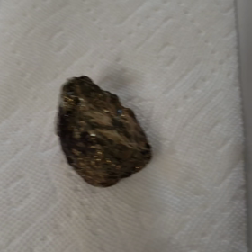 続き動画の画像