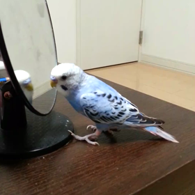 いつかは一緒に球場へ連れていきたい。の画像