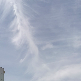 日輪！龍！鳳凰！の画像