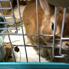 モカッ記  2018-7の画像