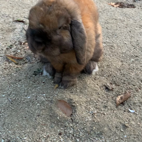 ちょっとだけTMレボリューションの画像