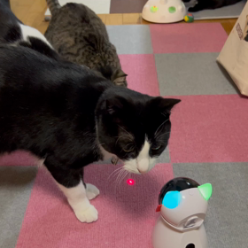 自動レーザー　の画像