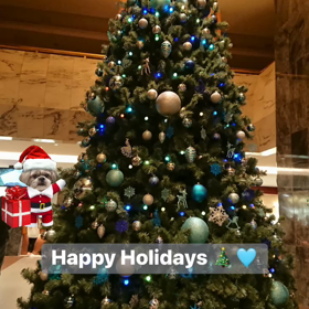 HAPPY HOLIDAYSの画像
