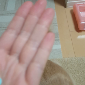 最後のくすりの画像