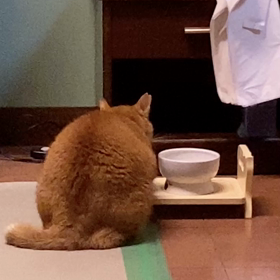 哀愁の背中の画像