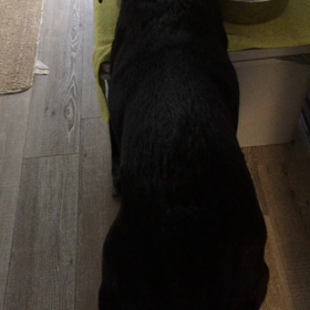 食欲旺盛な恋の季節の画像