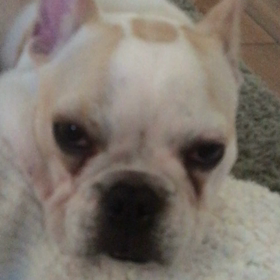 嘘のような本当の話の画像