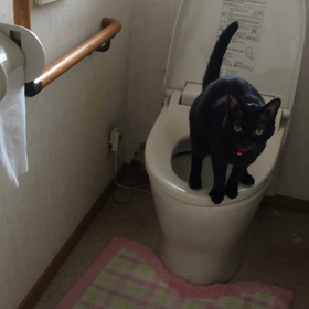 流して〜‼️の画像