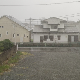 ヒョウが降りましたの画像