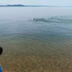 OWS初体験した件の画像