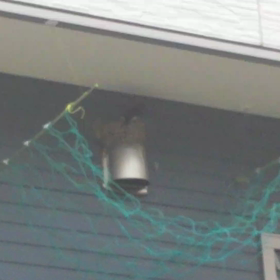 見えた(^○^)の画像