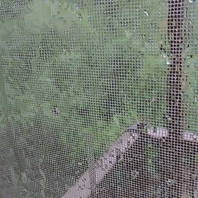 台風来た！の画像