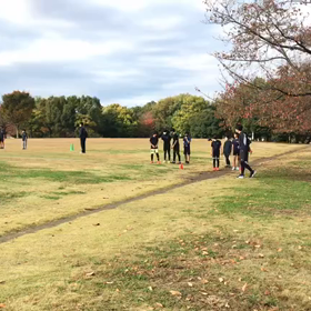 チャレンジカップリレー練習⑤の画像