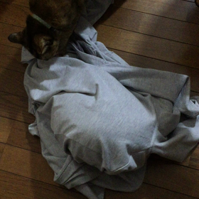 隠れてるつもり…の画像