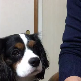 モンブラン事情の画像