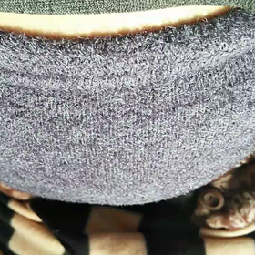 35週　杉ウイメンズクリニック卒業の画像