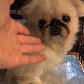 ただいま帰りました。の画像