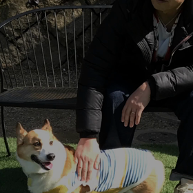 ドッグランフィールドに行って来ましたの画像