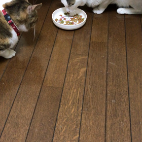 三咲さんピンチ❗️の画像