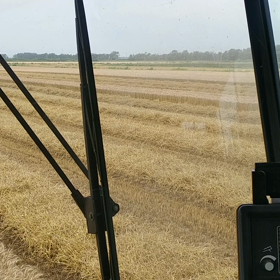 ラストスパートの画像