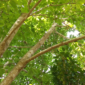 賑やかです…の画像