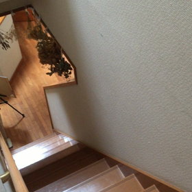 巨大生物との遭遇の画像