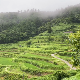 “自然と音遊び” プロジェクト vol.048！の画像