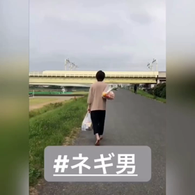 たおりゅうの画像