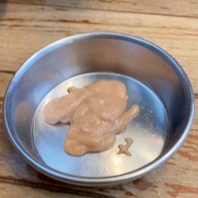 まずはちゅ〜るタイム！の画像
