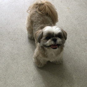 ♪プレイルーム動画♪①の画像