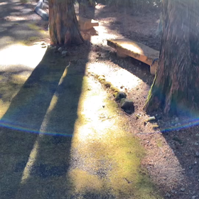 人は欠けてるところに目がいくものの画像