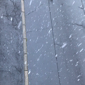 雪が降って来たの画像