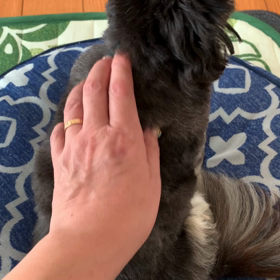 マッサージの画像