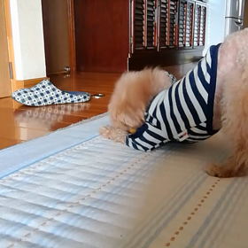 朝から元気な兄妹の画像