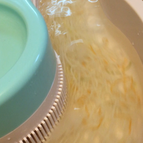 一夏、ありがとう♪の画像