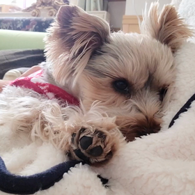 起きたのにダラダラの画像