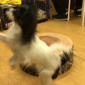 アラ、ほんとだわ。の画像