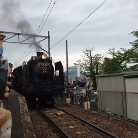 ダッフイーも見てるよ（笑）の画像