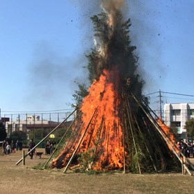 どんどや 天気が良くて最高！の画像
