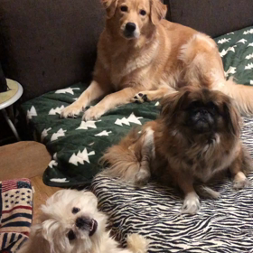 我が家nowの画像