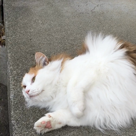 悶絶！！？？の画像