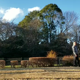 アクロヨガの画像