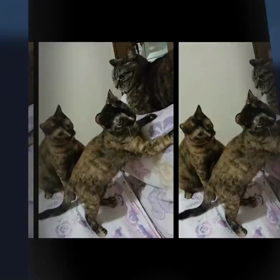 I   love  ﾆｬﾝｽﾞ❤️の画像